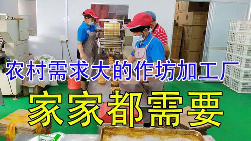 投资不到3万的加工厂,5人每天8小时,4个月收入42万,不得了