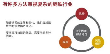 嘉吉投资王强 跨国企业的风险管理体系的构建与演变过程