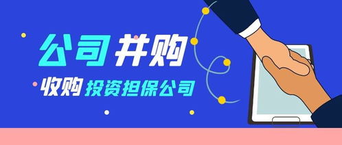 收购投资担保公司