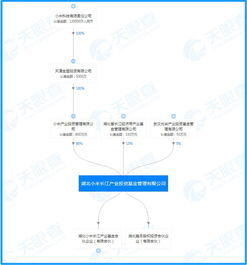小米加速芯片布局，月内再投恒玄科技加码SOC研发